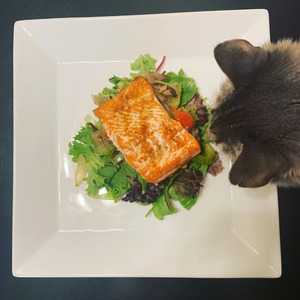 Warm Salmon Salad With Pico de Gallo Dressing Recipe.  Stella Approves.