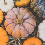 Fall Fruit and Vegetable Guide