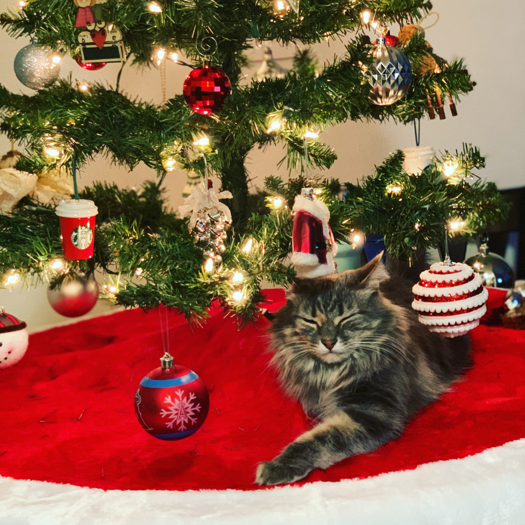 Stella underneath the Christmas tree.
